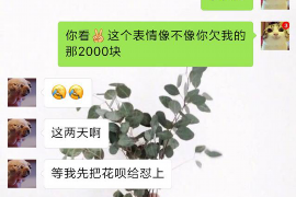 宾川为什么选择专业追讨公司来处理您的债务纠纷？